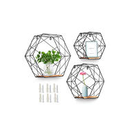 Wall Mounted Hexagonal Floating Shelves Farmhouse Storage Shelves for Wall,Bedroom, Living Room, Bathroom, Kitchen and Office,Set of 3,Black GSH358